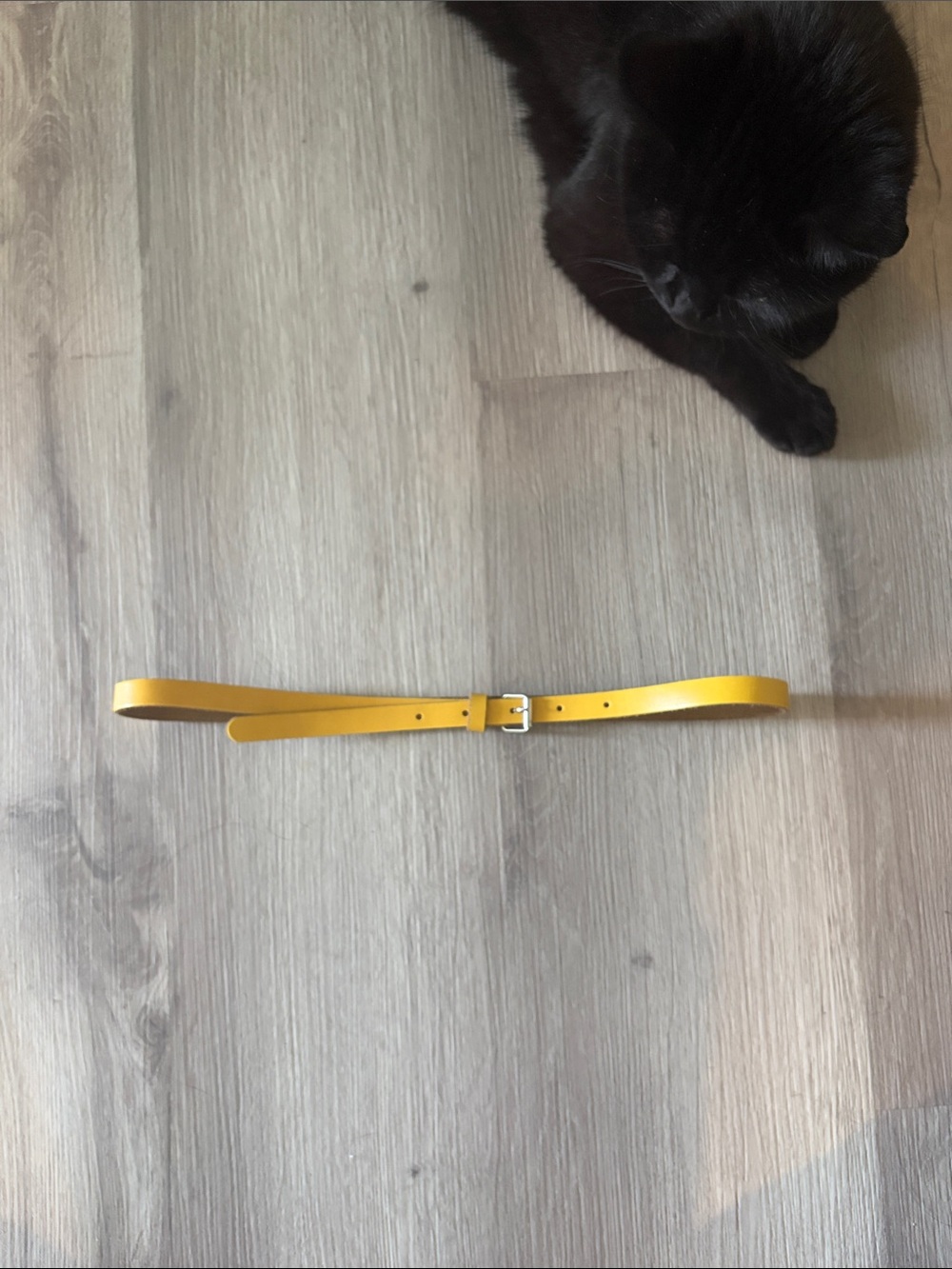 Slim Yellow Leather Belt with Silver Buckle